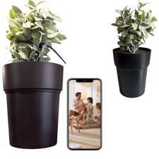 Pianta arredamento Digitale