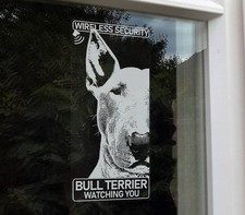 Bull Terrier Sicurezza