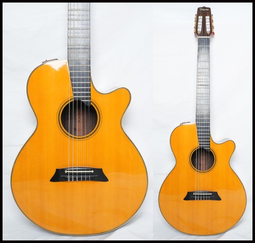 Takamine 115n stereo - (st),