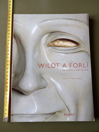 Vittorio sgarbi wildt - vittorio, a