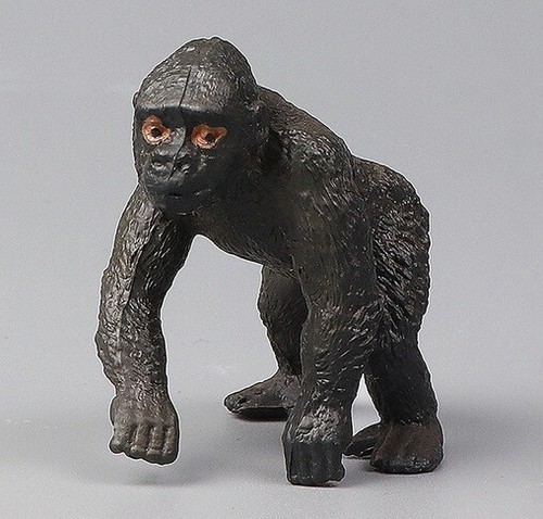 Piccolo jocko gorilla - piccolo, animale