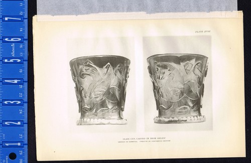 1907 litografia tazza in - 1907,
