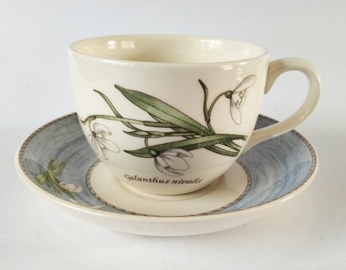 Tazza tè piattino - tazza, e