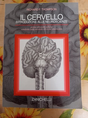 Cervelletto introduzione - cervelletto,