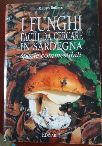 Funghi facili cercare in - i, da