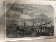 splendida stampa illustrazione