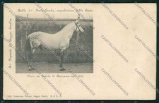 Reggio Emilia città cartolina