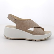 IGI&CO 1163411 CHAMPAGNE