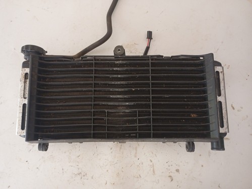 Radiatore ventola honda hornet - radiatore,