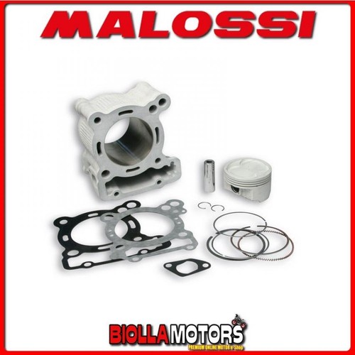 3115326 gruppo termico malossi - 3115326,