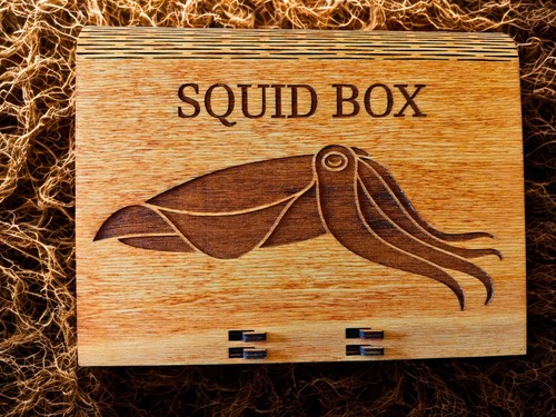 Box porta esche in - 🎣,