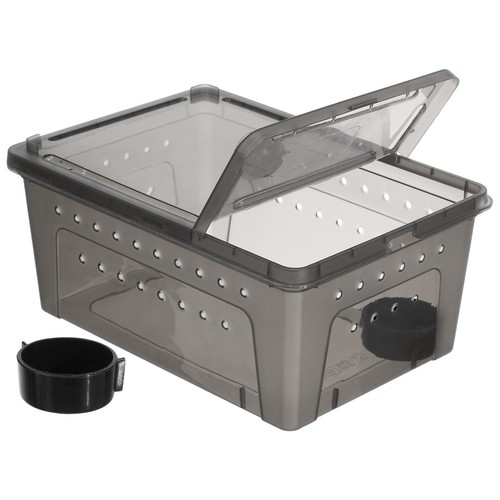 Scatola per rettili - , in