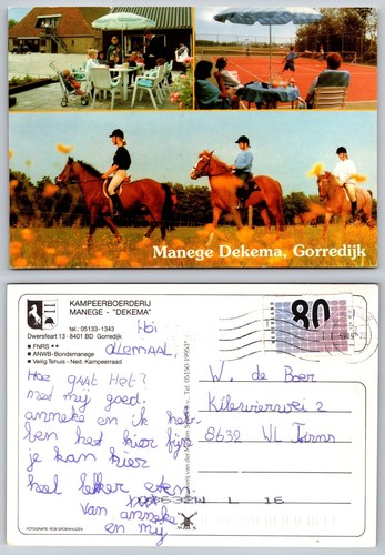 C22770 manege dekema horses - c22770,