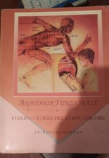 anatomia funzionale