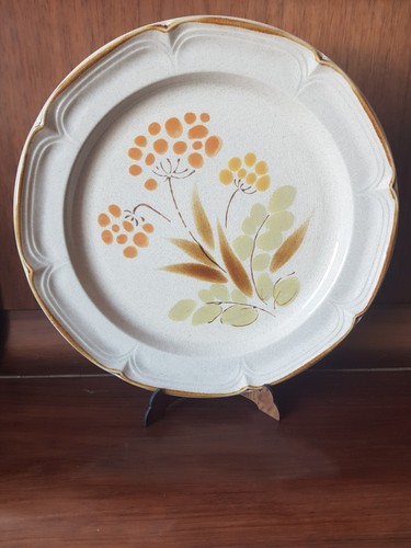 Set piatti hearthside - piatti,