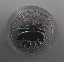 Moneta 2 sterline argento