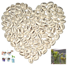 100 Fagioli Magici con Frasi Incise – Germogliano Svelando il Messaggio Segreto