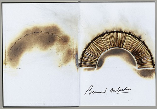 Bernard aubertin combustioni - bernard,
