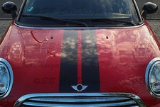 Strisce adesive Viper Stripes