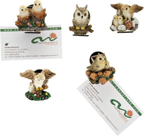 Calamite gufi con - con, pinza"