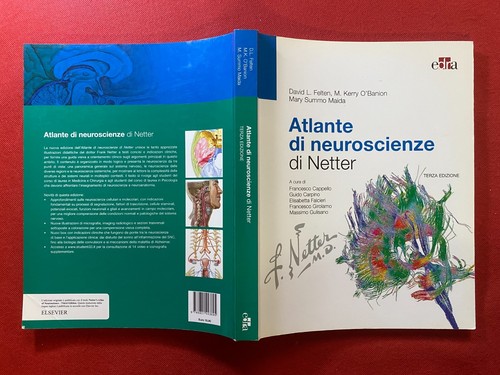 Atlante neuroscienze di - atlante,