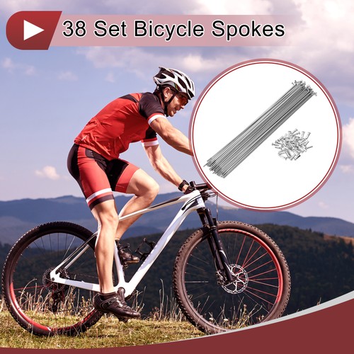 Set raggi bici 13g 230mm - raggi,