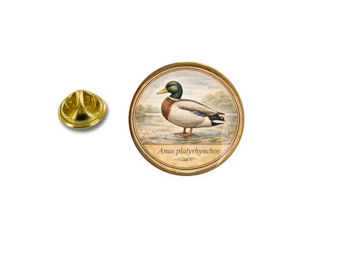 Pins pin badge broche - pins, oiseau