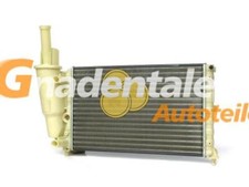 Radiatore Acqua Fiat Punto 176