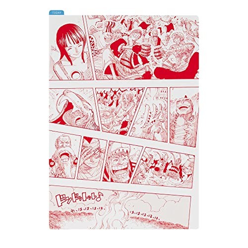 Hobonichi one piece - one, rivista