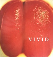 Vivid Intense Images American