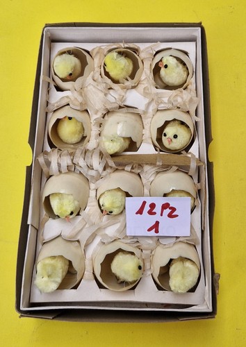 Pulcini nell uovo calamitati - nell'uovo,