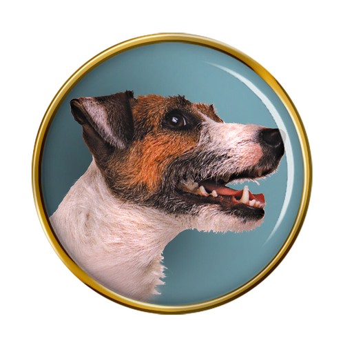 Cane jack russell terrier - jack,