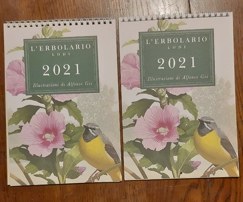 Lotto calendario 2021 - lotto, pz.