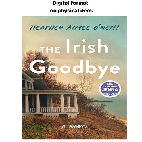 The irish goodbye novel - the, a