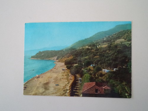 Cartolina postcard pisciotta - -,
