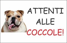 CARTELLO SEGNALETICO - BULLDOG