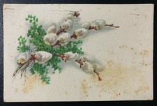 Antica Cartolina fotografica