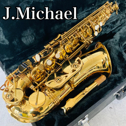 Usato michael j - [usato],