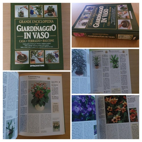 Grande enciclopedia del - grande,