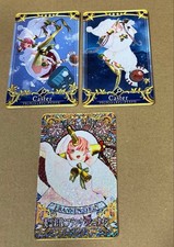 Fate/Grand Order Ac Santa