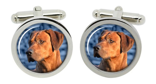 Rhodesian ridgeback gemelli - ridgeback, in