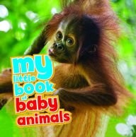 Little book baby animals - little,