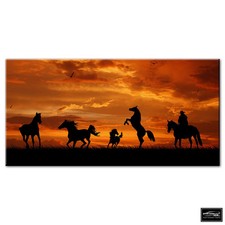 Animali Cavalli Cowboy