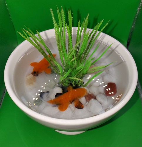 Koi pond - koi, 1