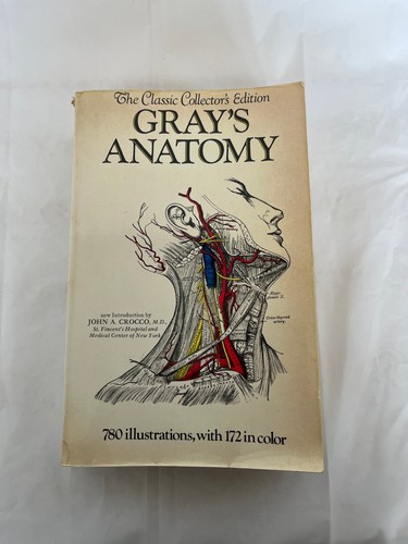 Gray anatomy henry - anatomy,