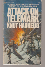 Attack On Telemark 23879