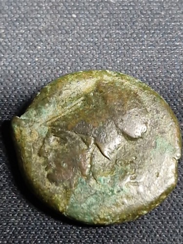 Siracusa collezione monete - -,