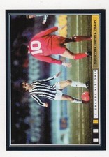Figurina juventus grandi - figurina, le