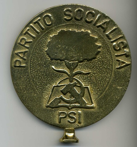 Puntale partito socialista - puntale,