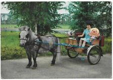 Carrettino - Invernizzi - Mucca Carolina e Susanna.